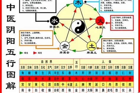 1984鼠五行